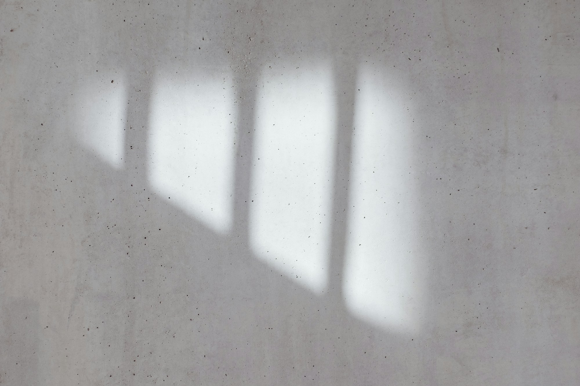 Soft daylight falling across a plain white wall